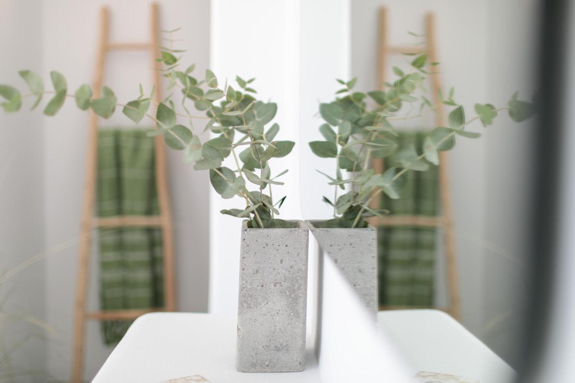 Anamnesia Boutique Apartments Naxos Town Naxos City 외부 사진
